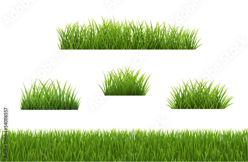 Big Set Grass Panorama With White Background