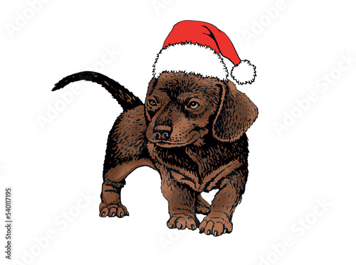 Vector hand-drawn brown puppy dog in Santa Claus red hat on white isolated graphical pet