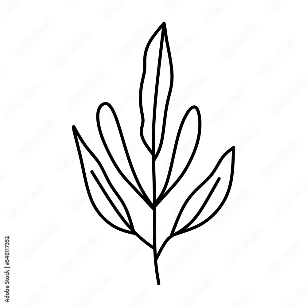 Obraz premium flower plant line design collection (leaf, flower, plant