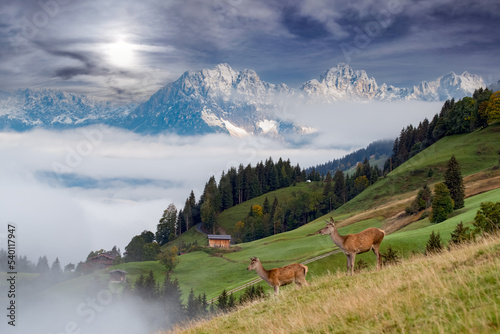 Wunderbare Bergwelt in Aurach, Tirol photo