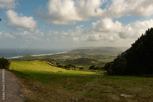 Green Valley Landscape in Barbados