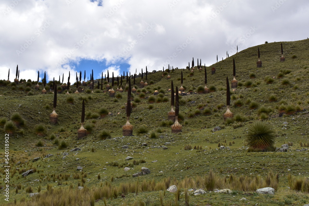 Huaraz StockFoto Adobe Stock