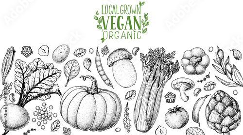 Vegan food frame. Hand drawn vector illustration. Menu design template. Vegan food sketch. Vintage design template. Product design. Great for packaging, recipe book, menu. Vegetarian food sketch.