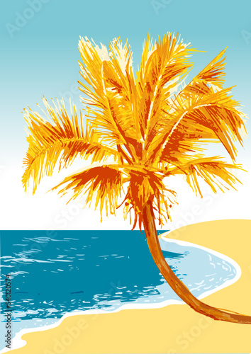 Coastal palm tree on the sand of a beach