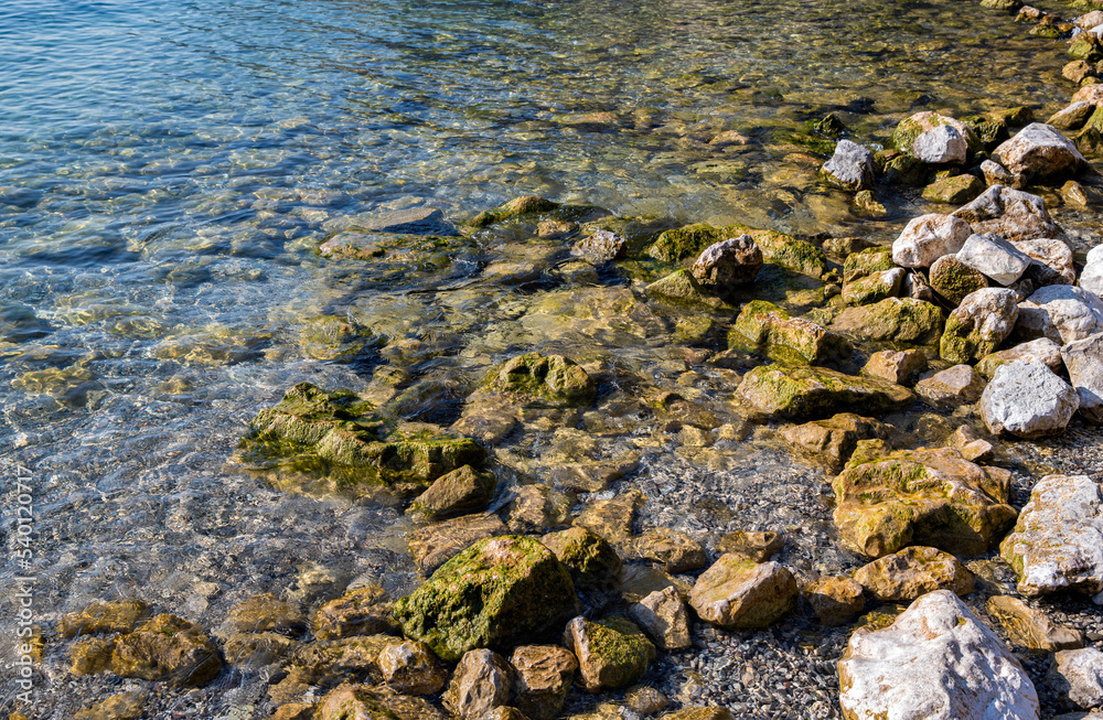 texture background stones in the water