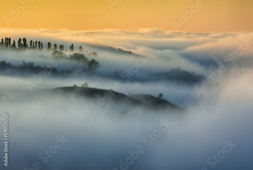 Trees in the Fog. Autumn morning. Nature of Ukraine © sergnester