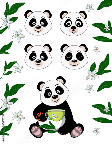 Set emotions panda. Happy, sad, crying, astonishment and agry expressions head. Vector illustration.
