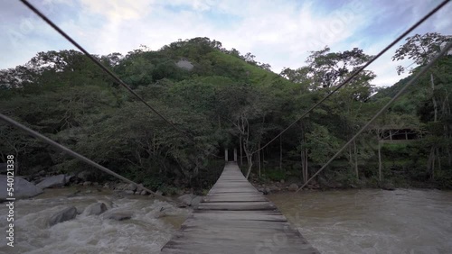 Puente Colgante Bosque Día photo