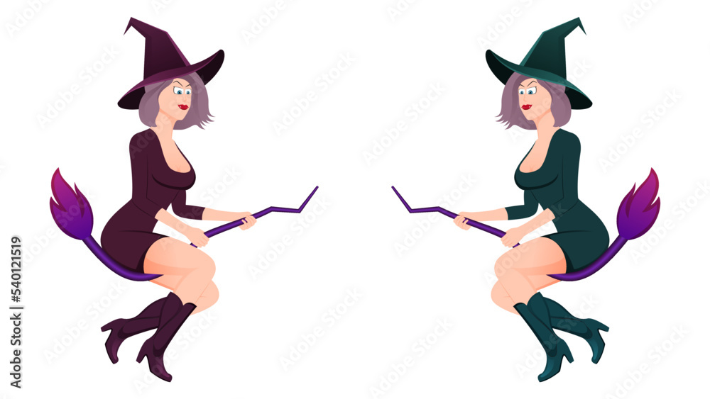 happy halloween, witch character vector illustration on white background. happy halloween, witch character vector illustration on white background.