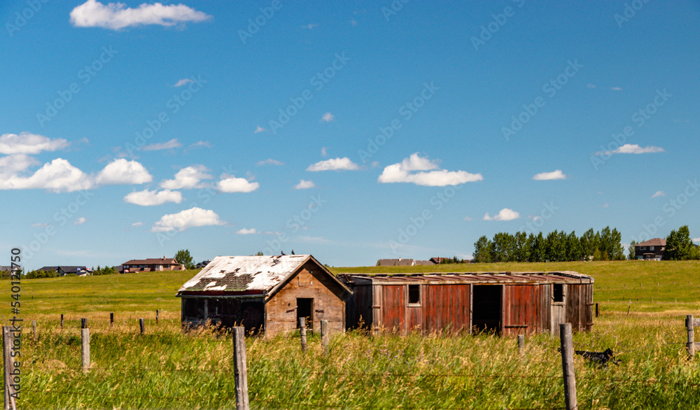 Obraz premium Rustic farm buildings in a field. Rockyview County, Alberta, Canada