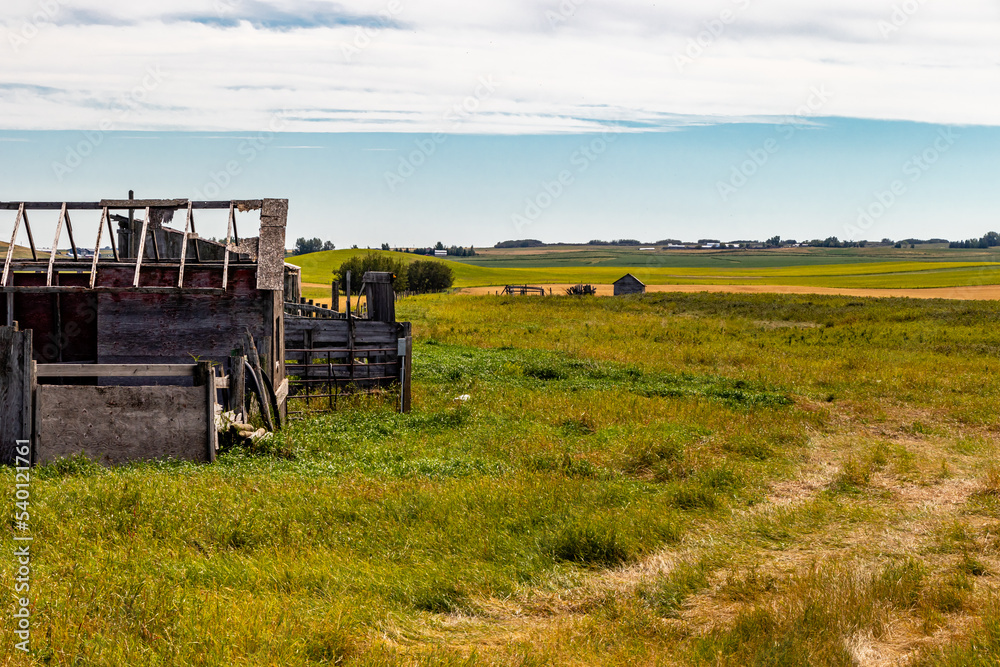 Fototapeta premium Rustic farm buildings in a field. Rockyview County, Alberta, Canada