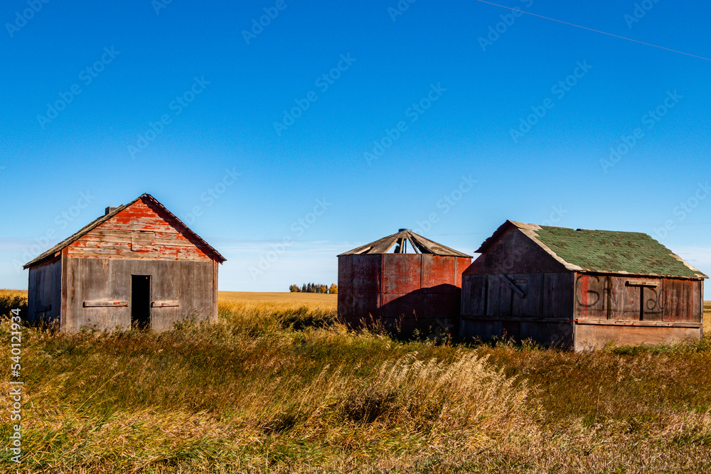 Rustic farm buildings. Starland County, Alberta, Canada