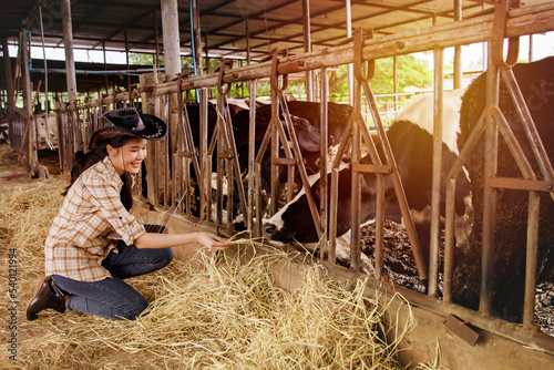 Happy asian farmers supervise dairy hay farming in cattle farms : Supervise the business of producing quality cow milk in a clean and modern cattle farm that meets the standards. 