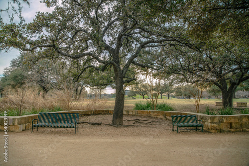 Metal benches at a scenic park with lush trees landscape in Austin Texas