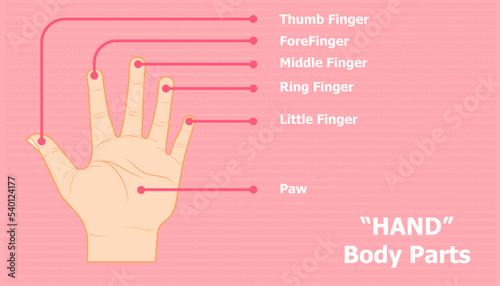 Educational poster of hand parts with names