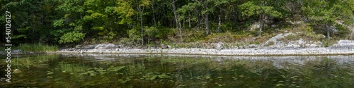 Panoramic view of a forest along the St. Lawrence River