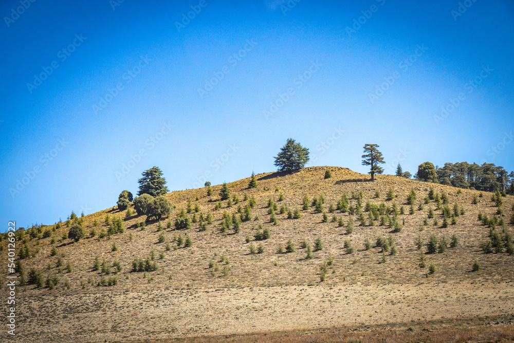 landscape in atlas mountains, berber village, tree, morocco, north africa landscape in atlas mountains, berber village, tree, morocco, north africa