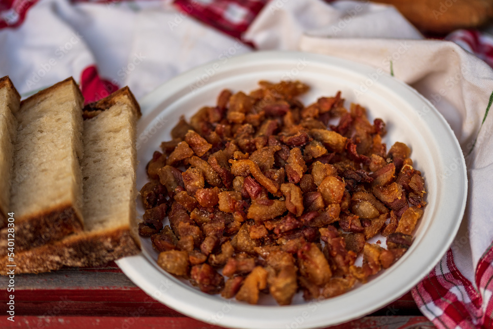 fried goose cracklings on a white plate table. fried goose cracklings on a white plate table.