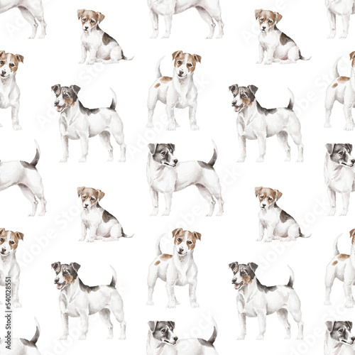 Plakat w ramie Jack russel seamless pattern