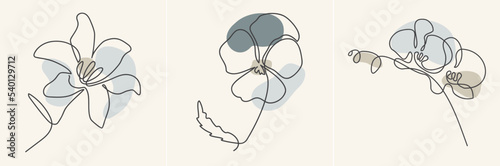 one line art flowers. Lily, pansies, orchid. Poster, print.	

