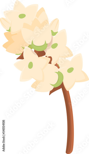 Raw buckwheat flower icon cartoon vector. Cereal plant. Pile food
