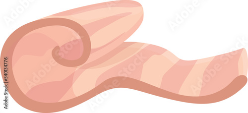 Barbecue lard icon cartoon vector. Pork meat. Raw bacon