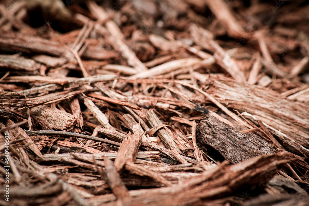 close up of woodchips close up of woodchips