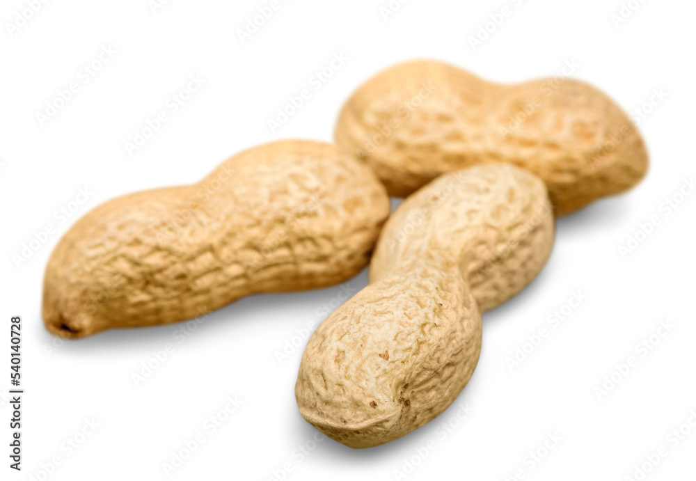 Peanut, Cashew nuts, pecan, almond Isolated on white Peanut, Cashew nuts, pecan, almond Isolated on white