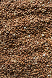 Brown beans, pinto beans, Nigerian oloyin beans, top view of beans