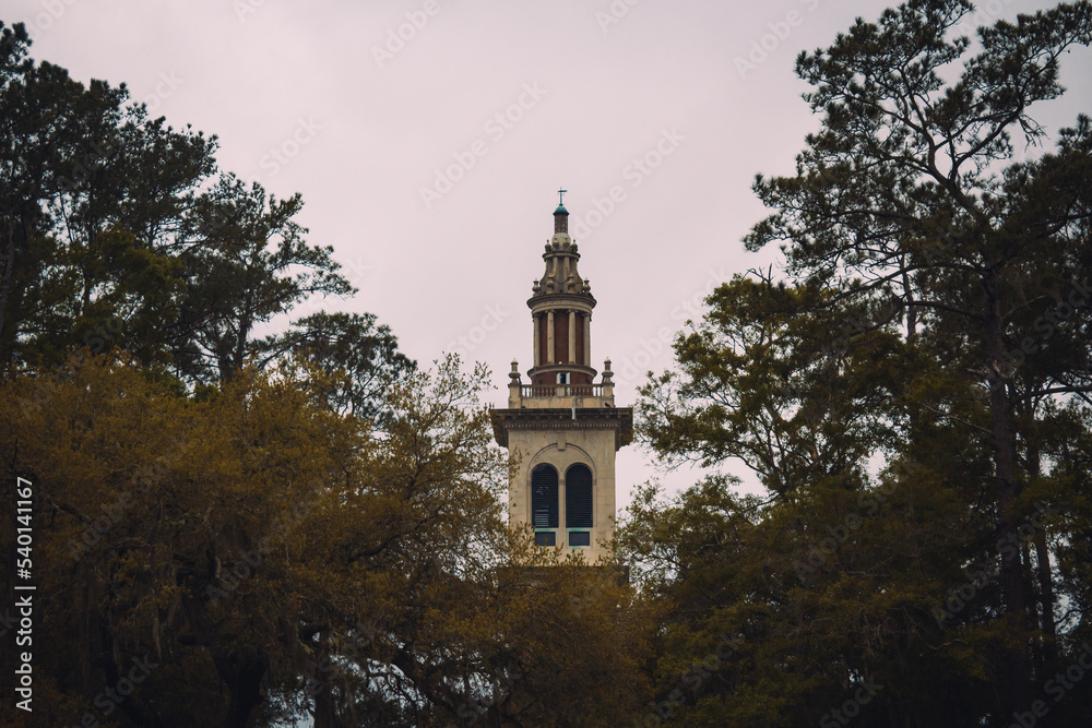 tower in the woods tower in the woods