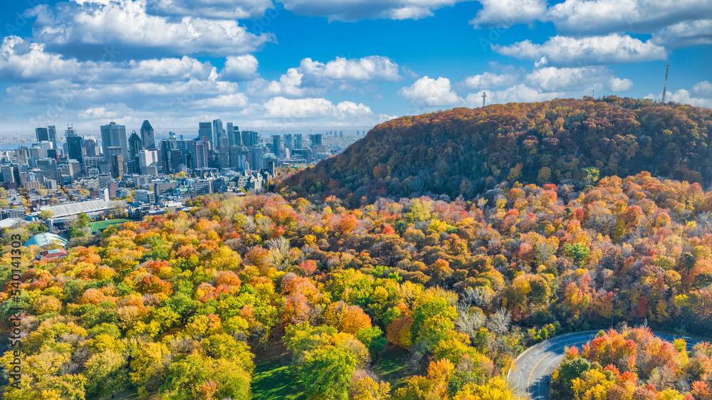 Fototapeta premium Autumn color on Mont-Royal in Montreal Canada