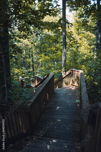 Fototapeta Naklejka Na Ścianę i Meble -  wooden stairs in the forest