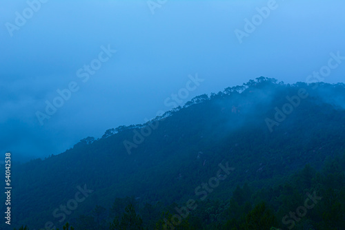 Desierto de las palmas cubierto por una densa niebla © David