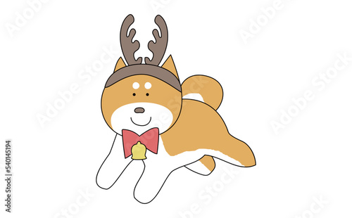 トナカイのコスプレをした柴犬白