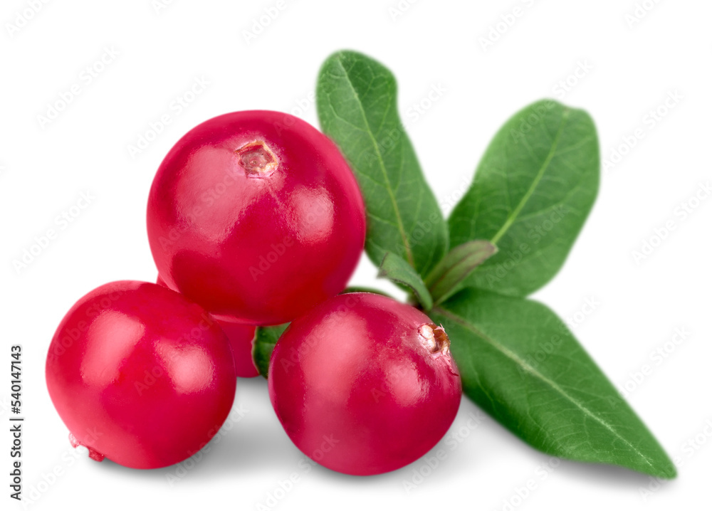 Cranberries Cranberries