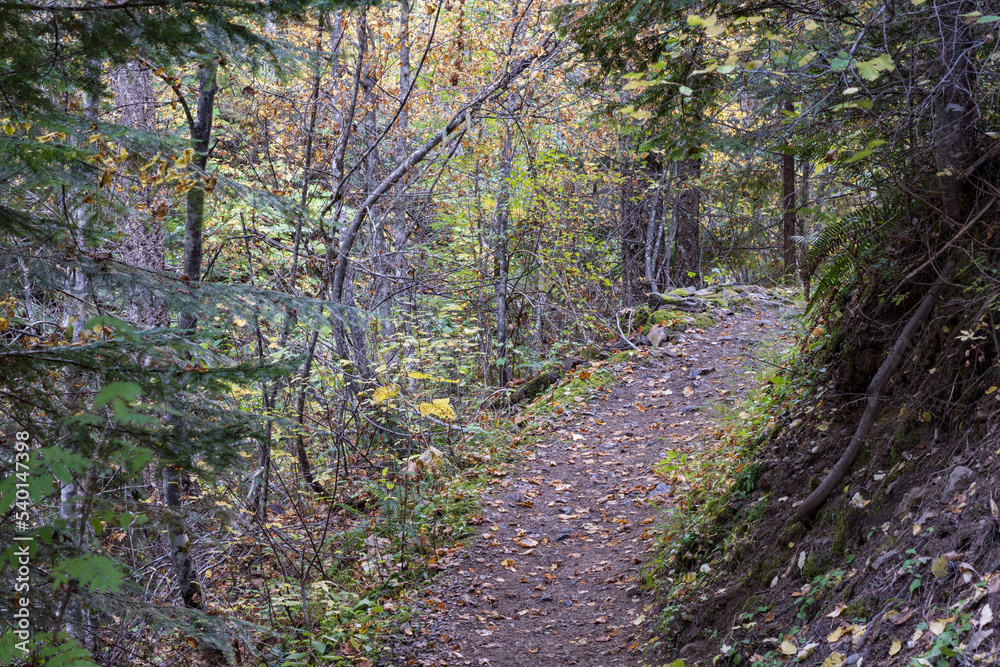 Pulaski Tunnel Trail Pulaski Tunnel Trail