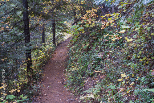 Pulaski Tunnel Trail