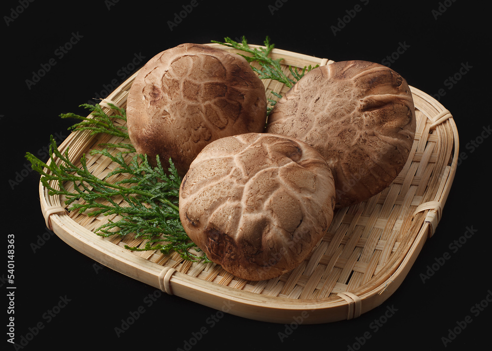 Obraz premium 生どんこ