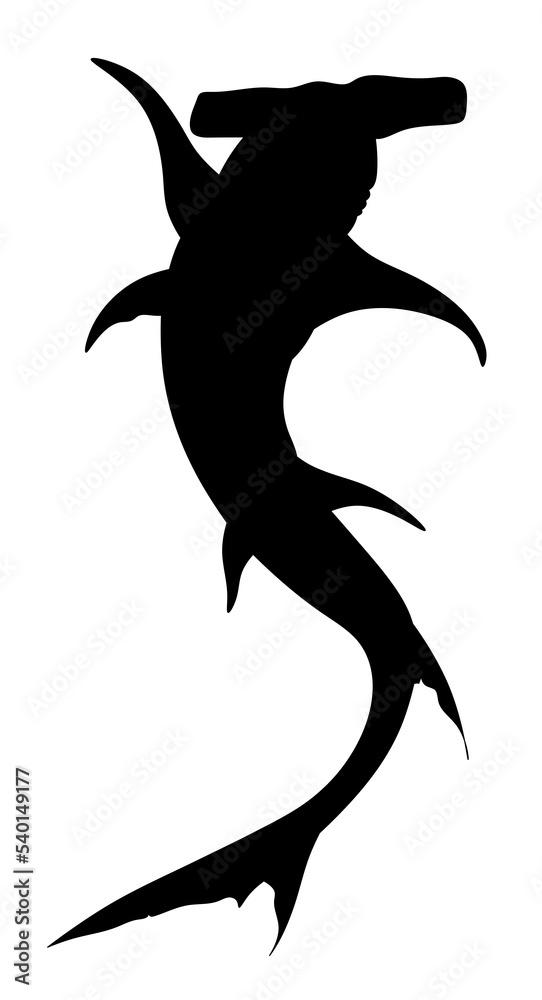 Hammerhead shark silhouette. Isolated illustration swimming shark. - obrazy, fototapety, plakaty 