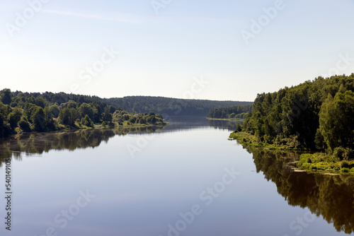 Fototapeta Naklejka Na Ścianę i Meble -  Trees in a mixed forest near the river in the summer season