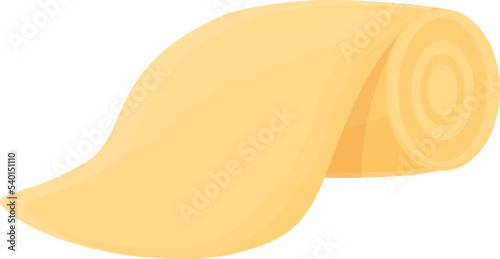 Home pad icon cartoon vector. Medical wool. Circle beauty