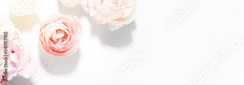 Top view of pink peonies and macaroons on a light background, a place for text