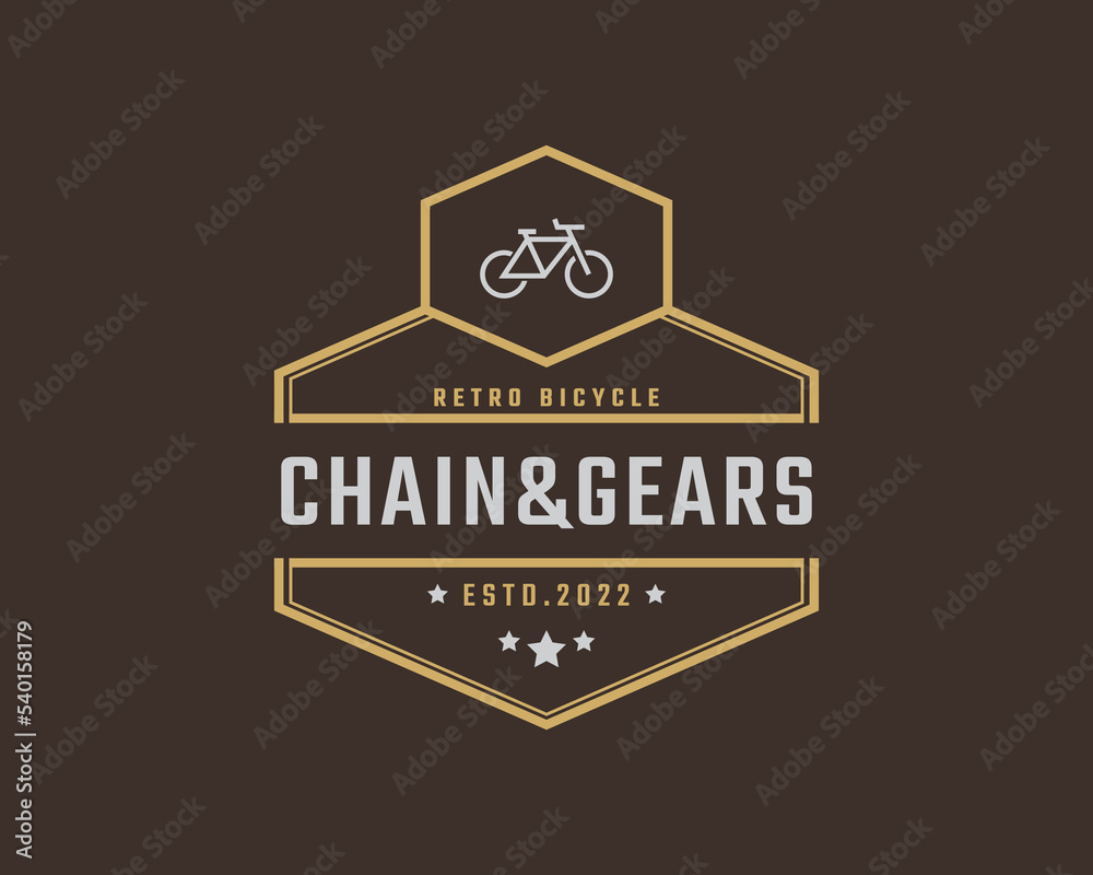 Vintage Retro Badge Emblem Logotype Bicycle Logo Design Linear Style
