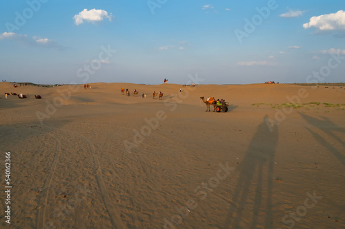 Tourists with camels  Camelus dromedarius  at sand dunes of Thar desert  Rajasthan  India. Camel riding is a favourite activity amongst all tourists visiting here.