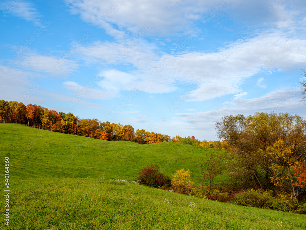 Un champ vert, par une belle journée d’automne. Le ciel bleu est parsemé de nuages. Une forêt d’automne forme la ligne d’horizon.