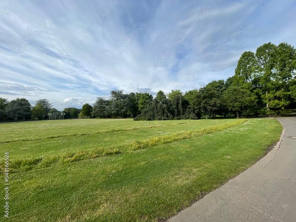 road in the field