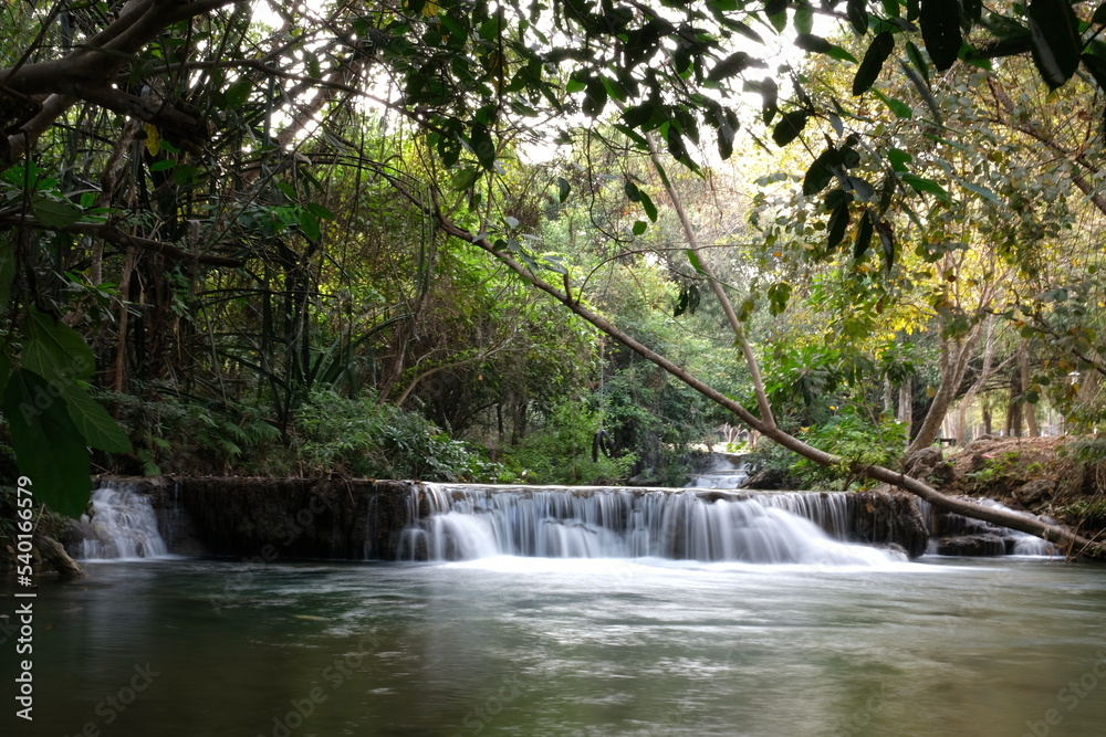 Obraz premium waterfall in the forest