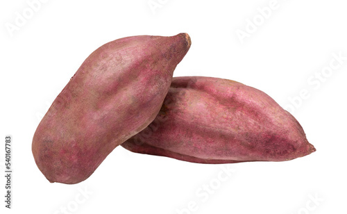 Two red sweet potato isolated photo