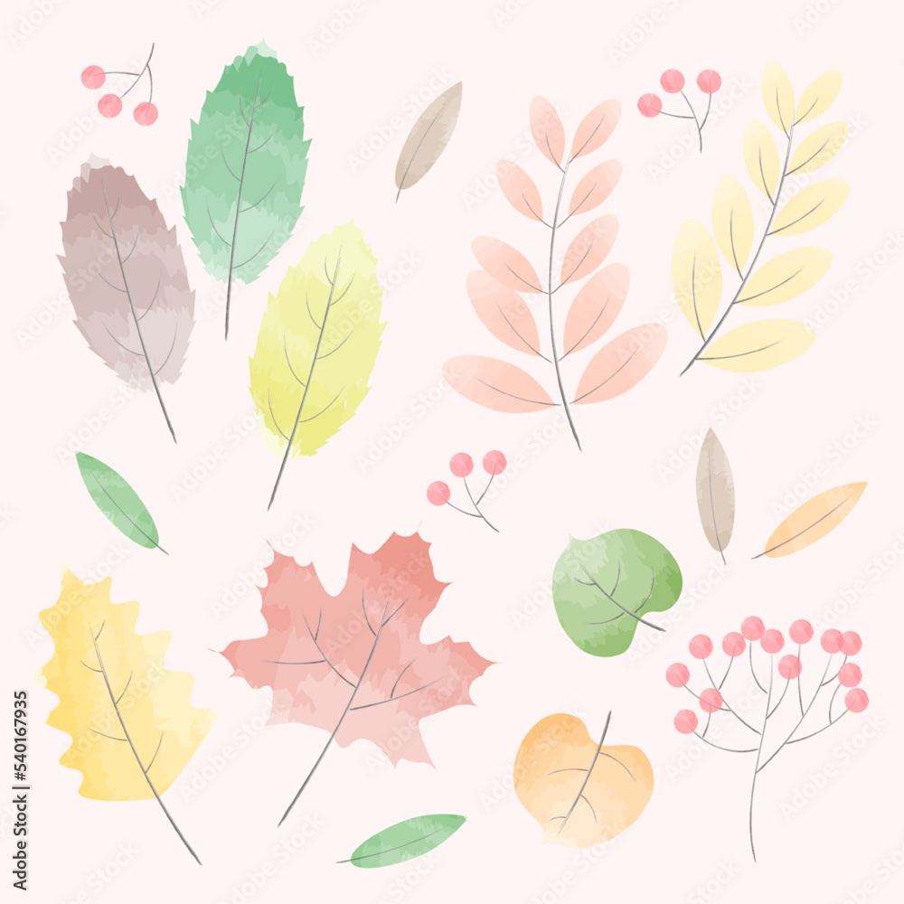 Watercolor autumn leaves. Various colorful leaves for autumn or fall themes. Can be used for icons, objects, or decorative templates. Beautiful watercolor technique