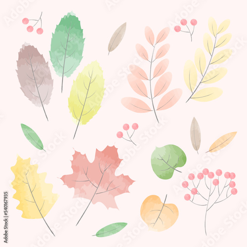 Watercolor autumn leaves. Various colorful leaves for autumn or fall themes. Can be used for icons, objects, or decorative templates. Beautiful watercolor technique